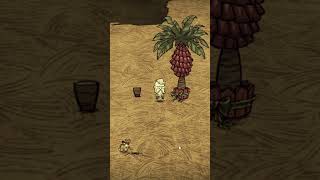 (Пофиксили) Как ДЮПАТЬ саженцы ПАЛЬМОВОГО дерева Don't Starve Together #shorts #донтстарв #дст #dst