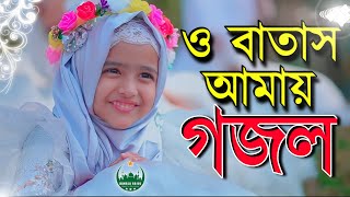 gojol, bangla gazal 2022, gazal, bangla gojol 2022, notun gojol, notun gazal, bangla Islamic gojol