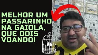 Melhor um passarinho na gaiola, que dois voando! / PROJETO #365 / Episódio 104 / fdantascoach