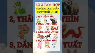 Những Tuổi Hợp Nhau | Yoga Như Quỳnh #shots #phongthuy  #12congiap