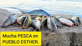 PESCA DE MUCHOS BAGRES - Este LUGAR GRATIS nunca falla.