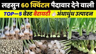 Lahsun ki Best Variety🧄Top—5 Variety🌱 लहसुन की बीट किस्में🧑‍🌾Lahsun ki kheti kaise karen | Garlic