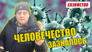 О коронарном вирусе: Человечество зазналось, но природа отомстит