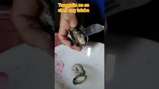 Oyster salad healthy no cook easy to prepare