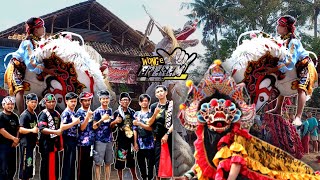 Full Rampokan Barongan RSM Feat Macan Putih Kembar BRC || Full Gayeng | Kepang Lucu Mas Konyeng !!