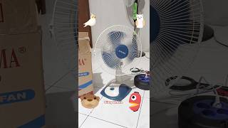 KIPAS ANGIN AOYAMA 12 INCH - FAN