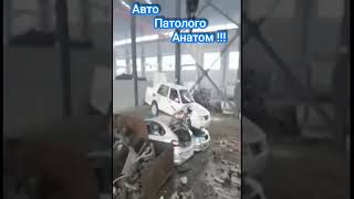 анатомия автомобиля