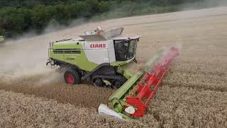 Slovakia Harvest 🌾🚜 | Amazing CLAAS Lexion 760 & 770 harvesters  in Action! 🌄😍