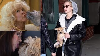 Famous Hollywood Celebs Who Love Their Pets Too Much