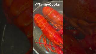 Steamed Lobsters #shorts