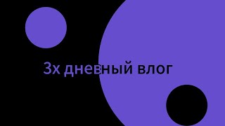 3 х дневный влог