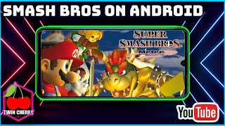 SMASH BROS PORTABLE