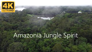 Amazonia Jungle