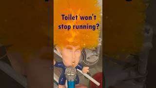 Toilet KEEPS RUNNING? DIY Fix - Toilet Flapper: When Toilet Tank Won't Shut Off