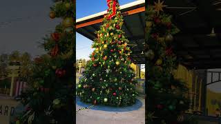 Christmas 🎄 tree #trending#youtuberlikes#goviral#viral#chirstmas#usa#telugu#trend#view#youtube#like