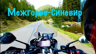 5000 км. На Мотоцикле. Межгорье , Синевир. Кто-то не выдержал…