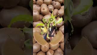 Split KIWI 🥝 #sisters #viralshort #meme #trending #kiwi #funplay