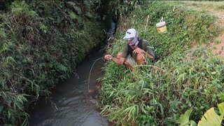 Spot ini!! wader & udang rebutan umpan!!|