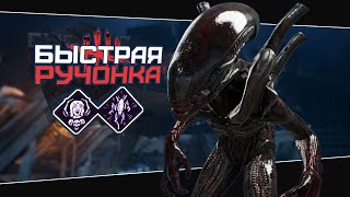 Надежный билд на Ксеноморфа (Dead by Daylight. Полная катка)