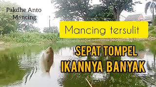 MANCING TERSULIT || Mancing ikan sepat