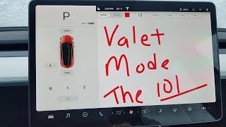 In Depth Review of the Tesla Model 3 Valet Mode and Real World Experience