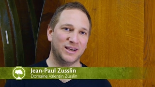 Valentin Zusslin Alsace FR | Jean-Paul Zusslin