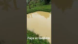 Coletando agua da chuva fiz esse Lago