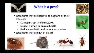 VOD: IPM for Microorganism Pests