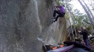 ‪Magic Wood du 7b+ au 8a