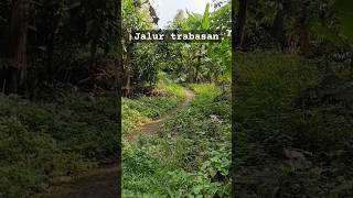 Santai dulu di jalur trabasan kampung renteng ke Tempursari, #jelajahdesa #tamanayu #trabasan