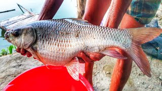 Awesome Wheel Fishing|| Big Fish Catching By Using Fishing Rod|| Big Fish Catching Video|| HD