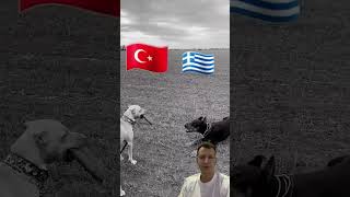 Havlayan köpek ısırmaz 😉#keşfet #rap #funny