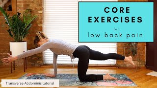 CORE EXERCISES  for Low Back Pain - Transverse Abdominis Tutorial