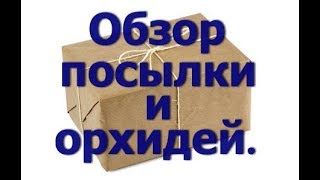 Обзор посылки. Орхидеи в ноябре. Что цветет и будет цвести.