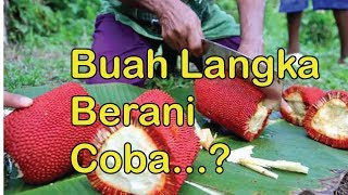 Buah langka, mirip nangka