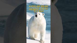 Top 10 tallest animals in the world 2024 🌍 #shorts#viral          #youtubeshorts