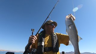 Jackson Big Rig FD: Echo Bay CRAZY MORNING! jig! Get a Blade Runner and go to Echo. #lakemead