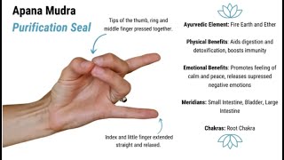 Apana Mudra for Digestive Health; Detoxification; Energy Flow; Negativity; Anxiety & StressReduction