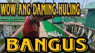 GRABE MGA HULI LALO BANGUS #fishing #fish #food #viral #viralvideo #viralfishingvideo #hunting