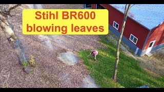 QUICKIE - Stihl BR600 backpack blower   Blowing leaves