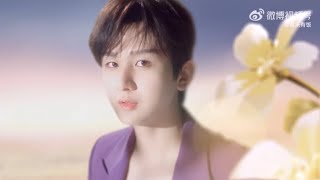 Follow Cheng Yi, walk into the sea of Baichi flowers! The purple suit reflects Chengyi's bright skin