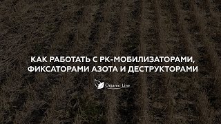 Как работать с PK-мобилизаторами, фиксаторами азота и деструкторами. Практика No-Till, Strip-Till.