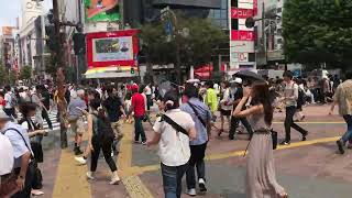 Shibuya Crossing August 2017