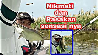 Meski pun banjir,Alhamdulilah masih ada hasil di sepot mancing ki sobirin,bekasi utara