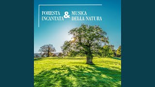 Foresta incantata