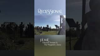 Magical Live Harp Cover of 'Home' by Edward Sharpe & The Magnetic Zeros for Wedding Recessional