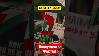 Ответный Удар!Факты про Сектор Газа!Подписывайтесь прямо сейчас!