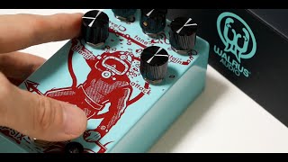 【Unboxing】 WALRUS AUDIO DEEP SIX V3 Compressor