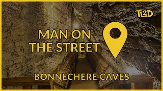 TL2D - Man on the Street Reporter at Bonnechere Caves (VZYN) #Shorts