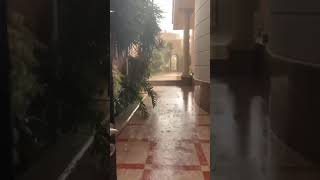 لحضة نزول المطر ⛈⛈